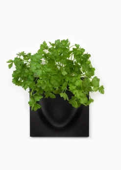 Vertiplants BIO