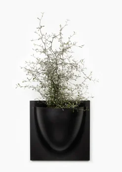 Vertiplants BIO