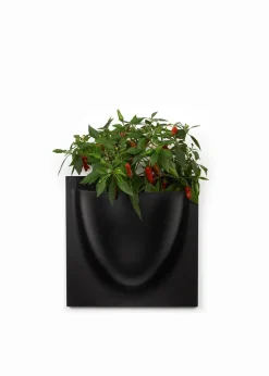 Vertiplants BIO