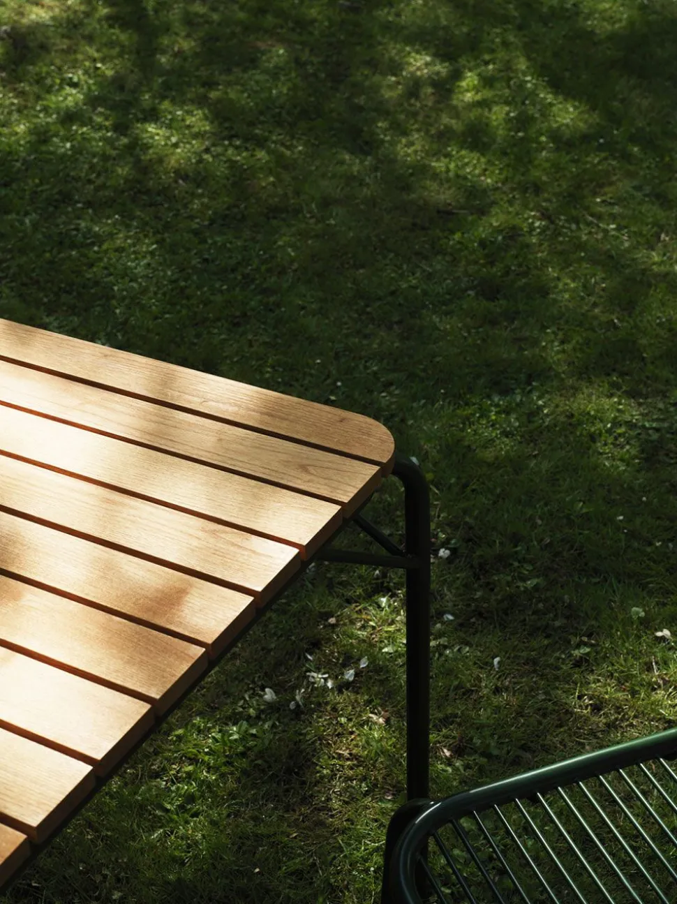 Vig Table Robinia