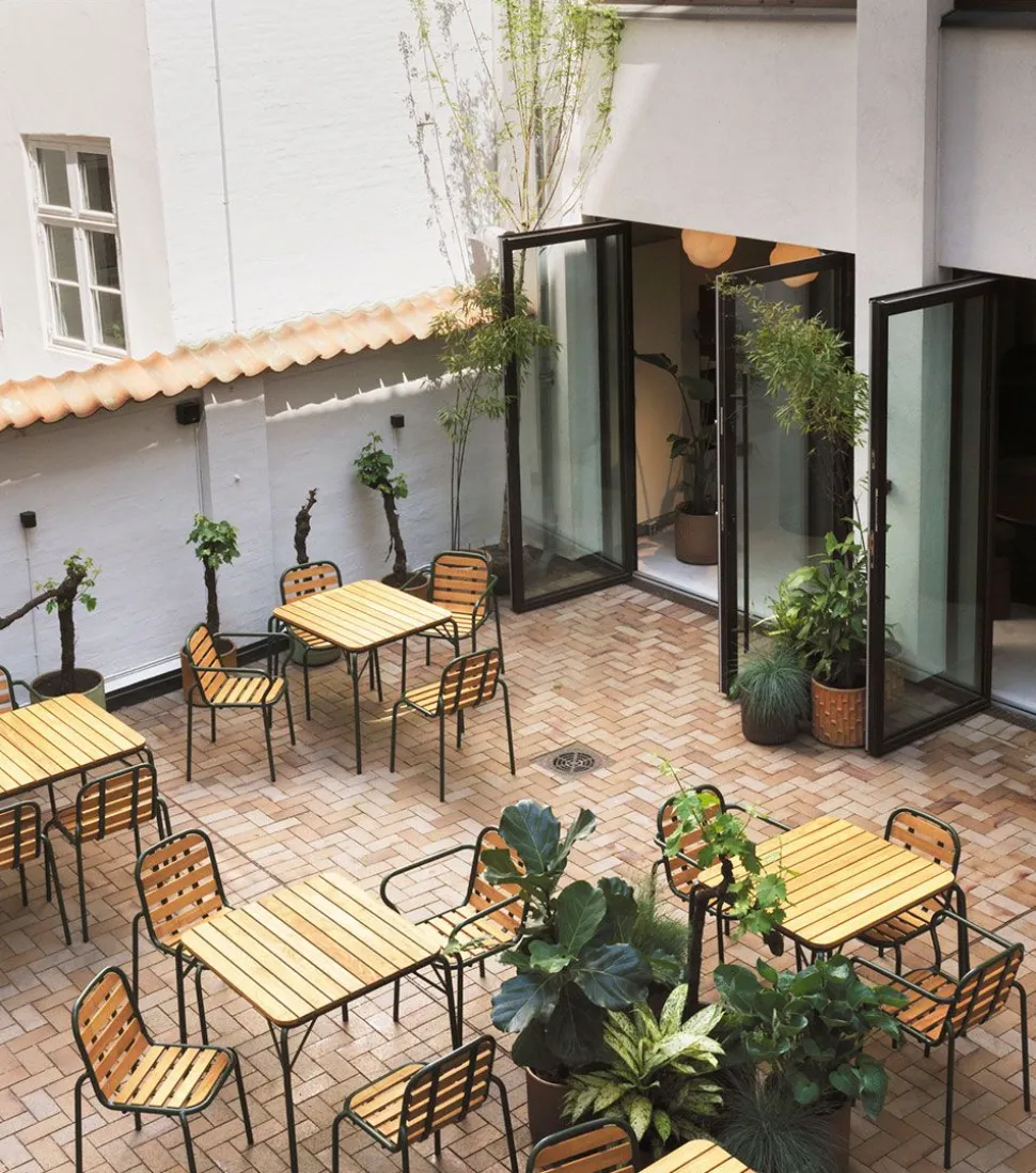 Vig Table Robinia