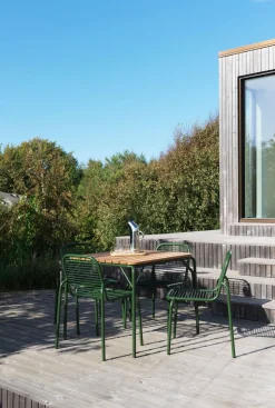 Vig Table Robinia