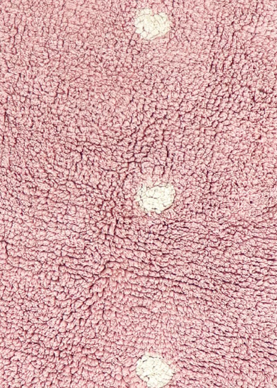 Washable Rug Little Biscuit