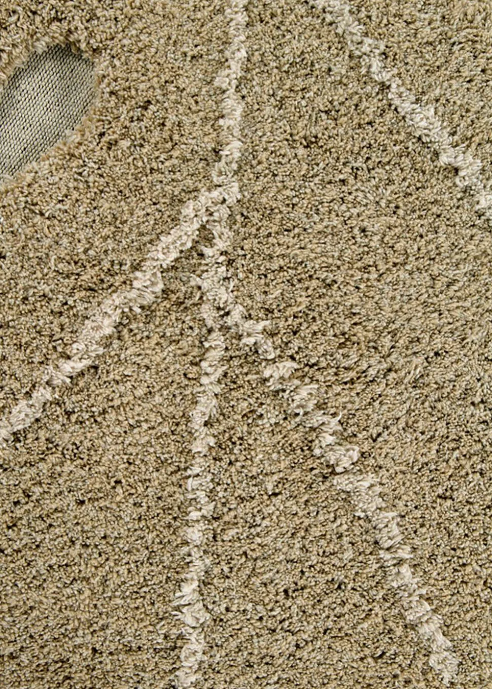 Washable Rug Monstera