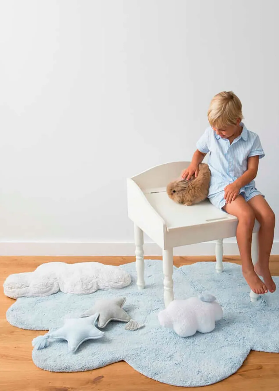 Washable Rug Puffy