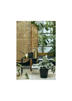 Water pitcher